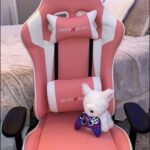 Nokaxus Gaming Chair Pink colour