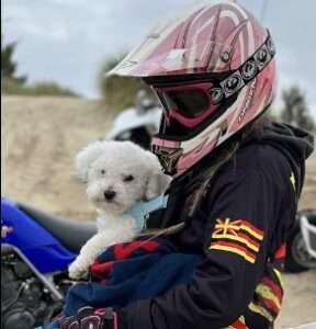 pet carrier tank bag motorcycle