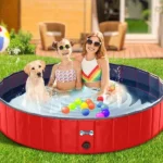 Best foldable dog pool