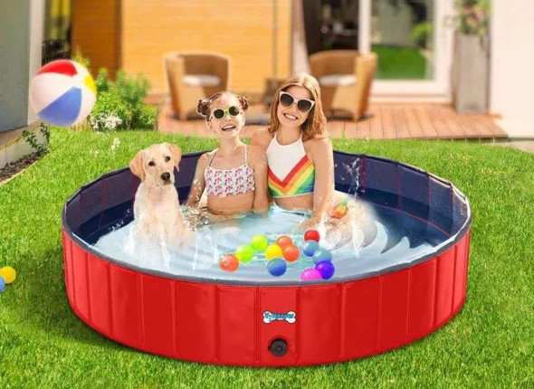 Best foldable dog pool