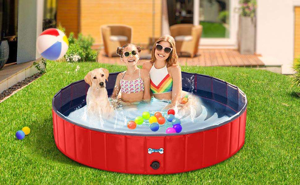 Best foldable dog pool