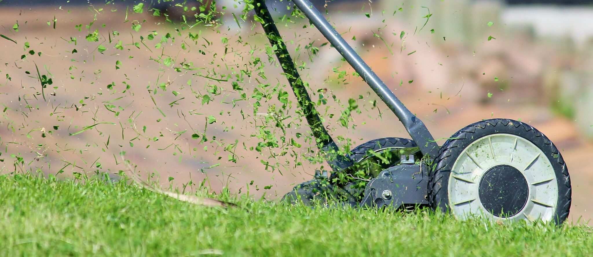 Top 5 Cheap Lawn Mowers 2024 » stuffminer
