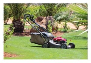 Best Selling Lawn Mower