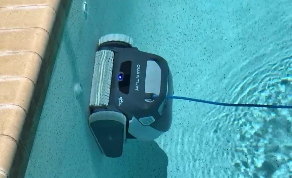 dolphin quantum robotic pool cleaner