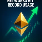 Solana Dominates the Market With Record Breaking Transaction and Volume Surge